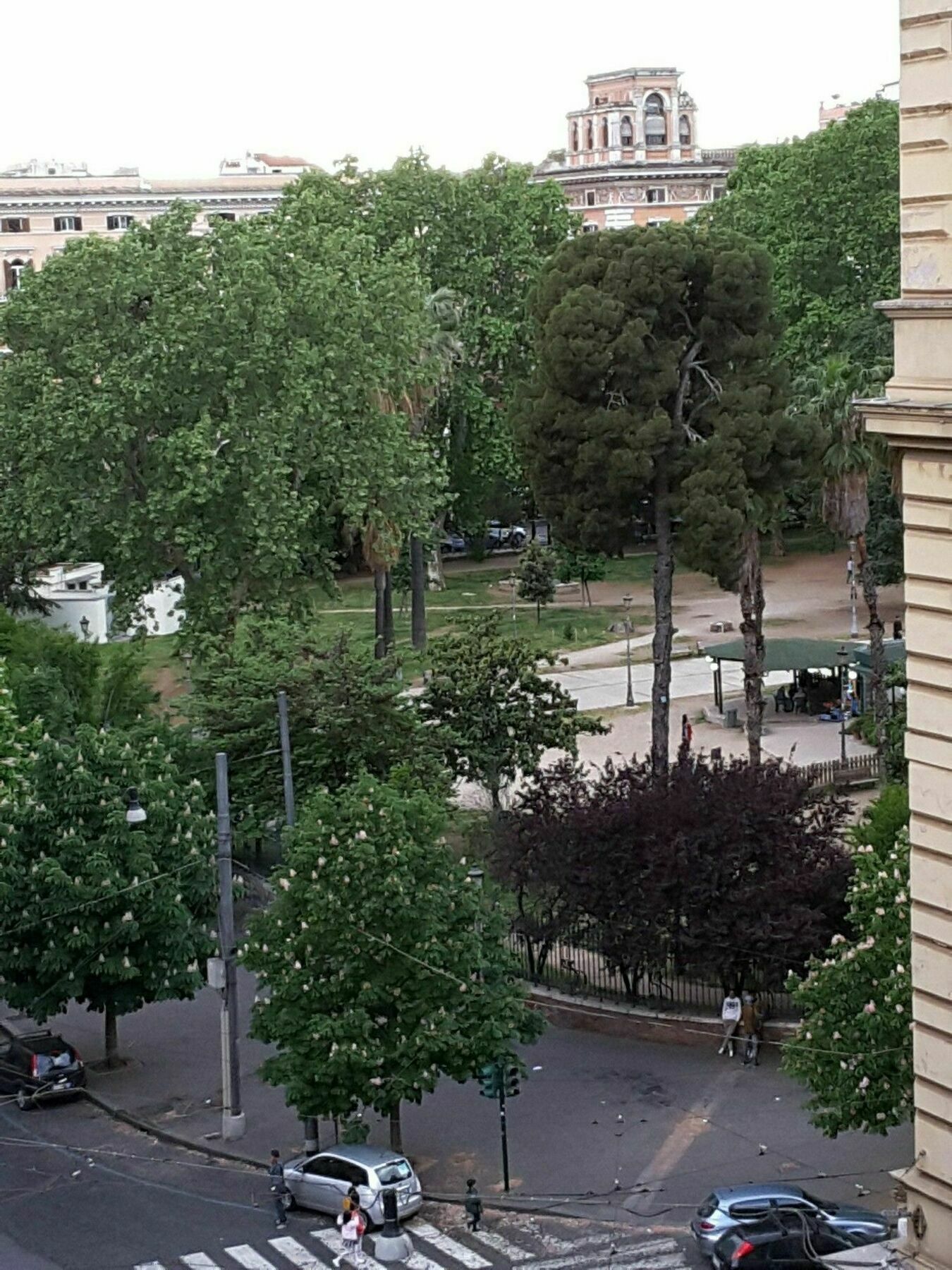 Kiss Roma